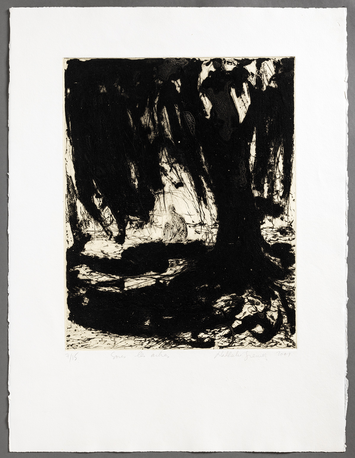 Musée de Saint-Maur, Villa Médicis