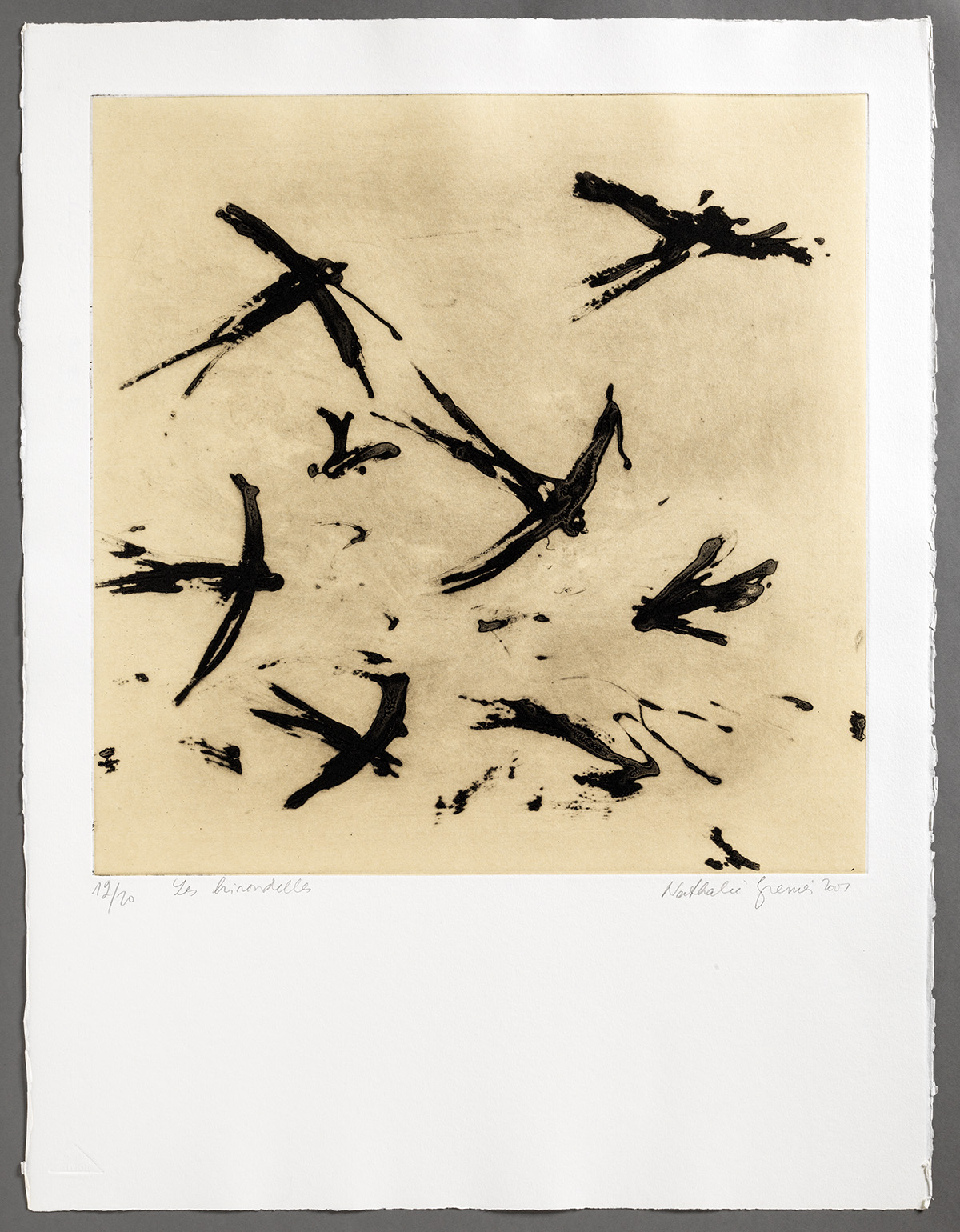 Musée de Saint-Maur, Villa Médicis