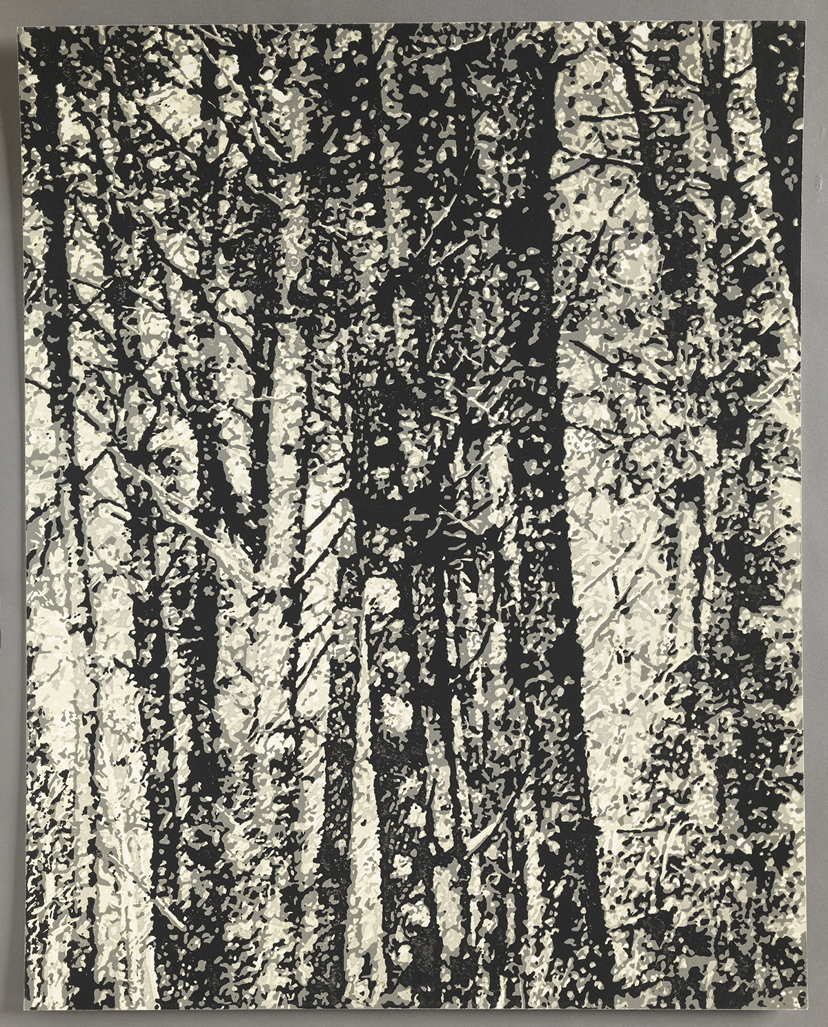 Musée de Saint-Maur, Villa Médicis