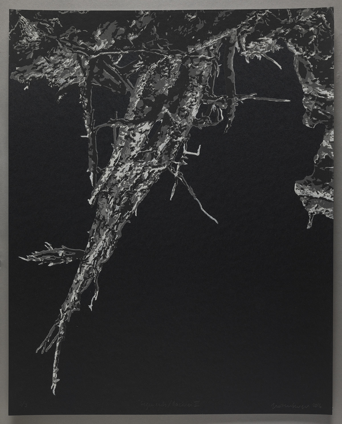 Musée de Saint-Maur, Villa Médicis