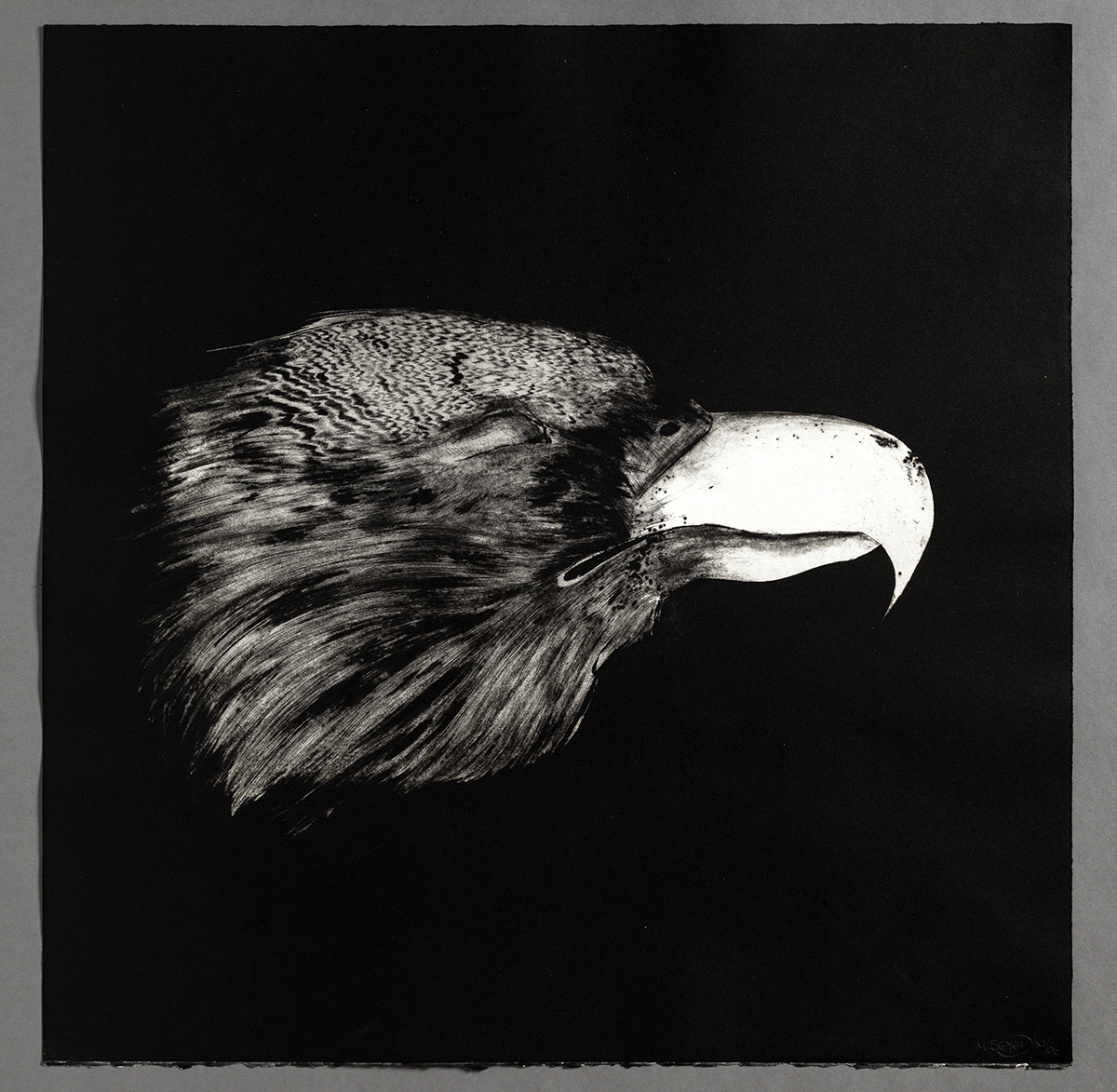 Musée de Saint-Maur, Villa Médicis