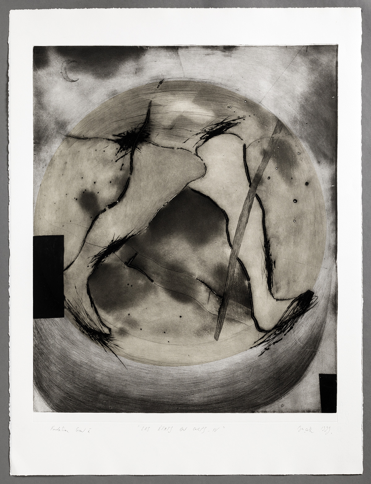 Musée de Saint-Maur, Villa Médicis