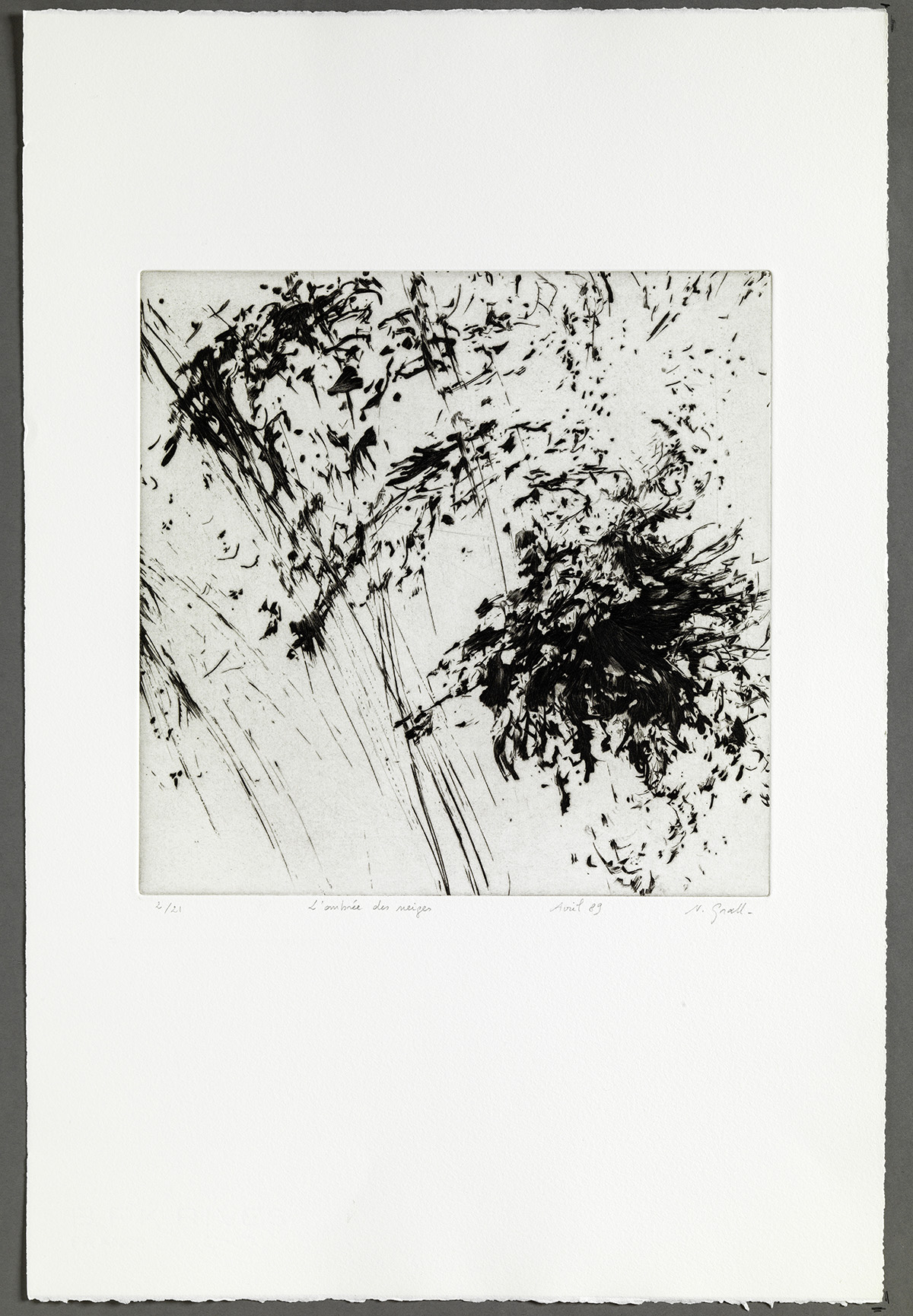 Musée de Saint-Maur, Villa Médicis