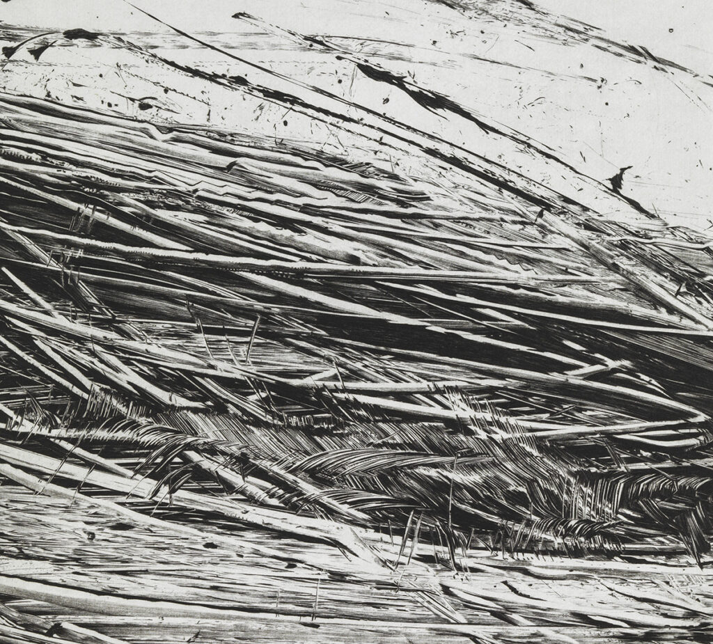 Sagaie de lune - Nathalie GRALL