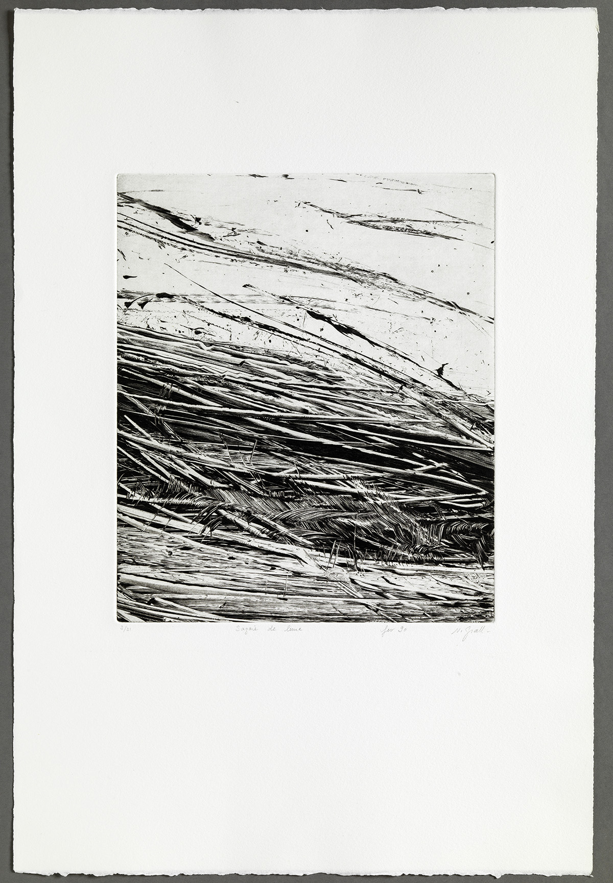 Musée de Saint-Maur, Villa Médicis