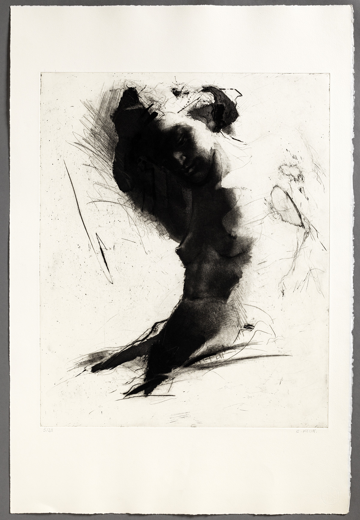 Musée de Saint-Maur, Villa Médicis